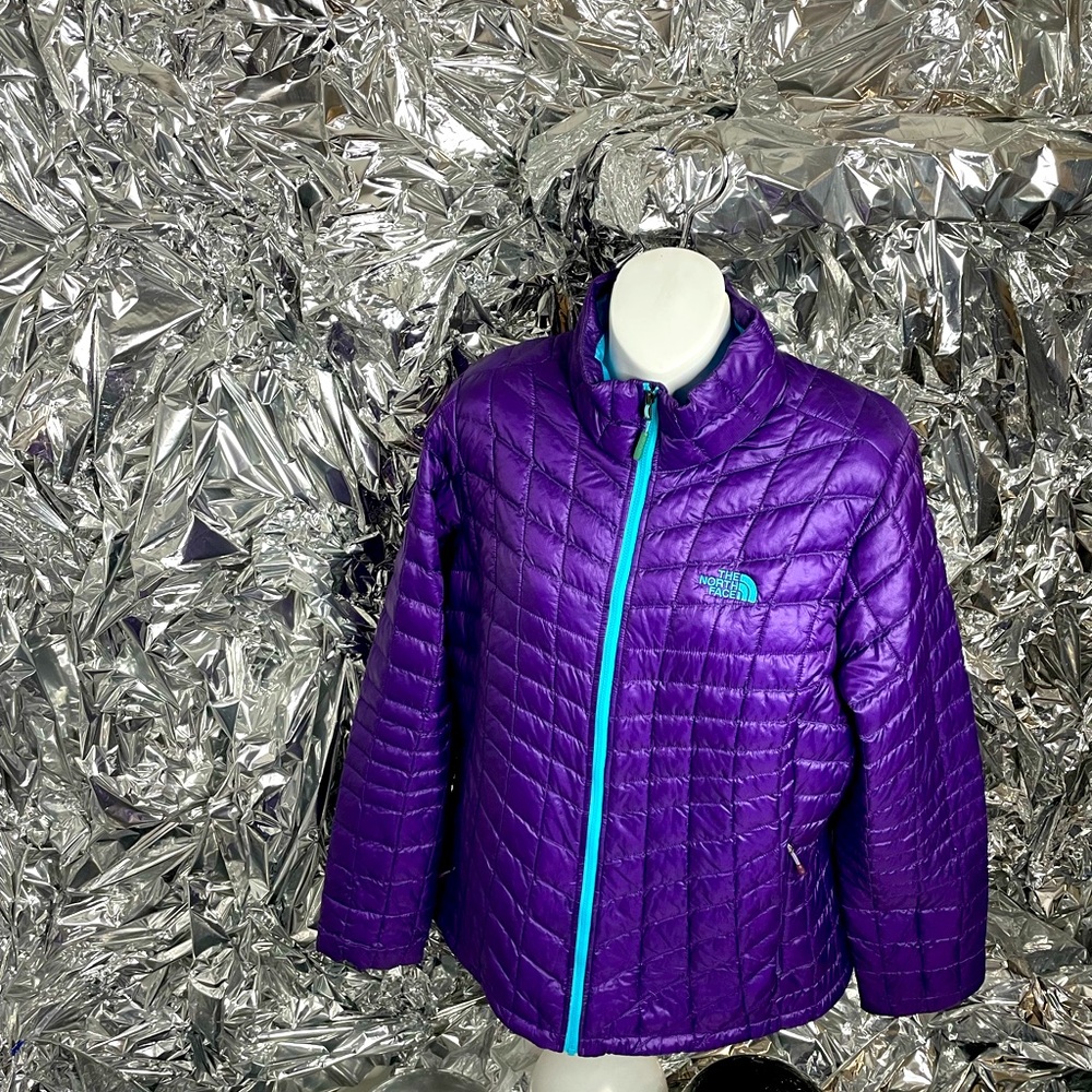 The North Face Women’s Purple Jacket